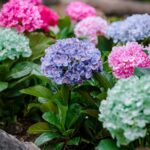 resized_35_api